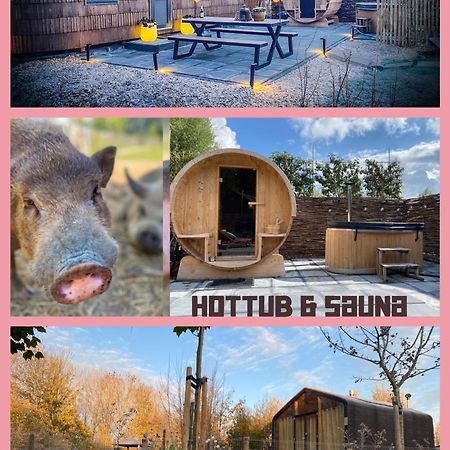 Bed & Wellness Klein Knorrestein With Private Hottub And Sauna And Tandembike Rental Included In Price Almere Eksteriør billede